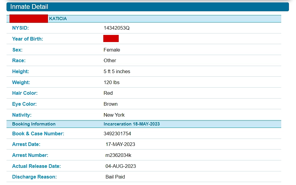 A screenshot of the NYC Department of Correction's Inmate Lookup Service displays inmate information such as full name, NYSID number, year of birth, gender, physical attributes, and booking details.